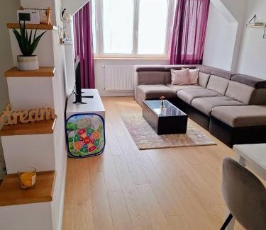 Viseu de Sus Apartment | Apartament Central