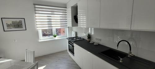 West Pomeranian Voivodeship Apartment | Apartament Centrum Szczecin