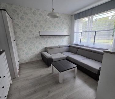 Krotoszyn Apartment | Apartament COMFORT Centrum 2