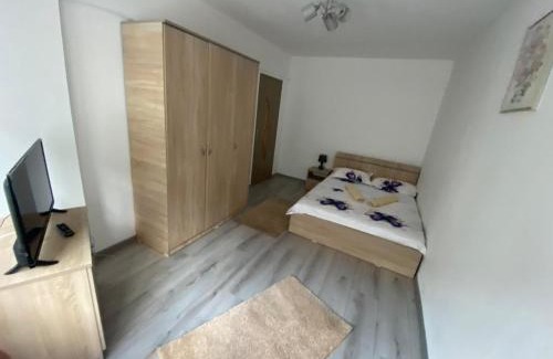 Baile Herculane Apartment | Apartament Costescu