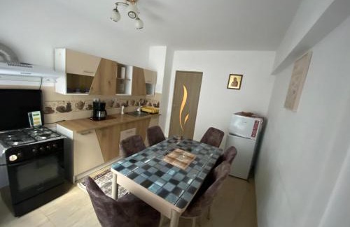 Baile Herculane Apartment | Apartament Costescu