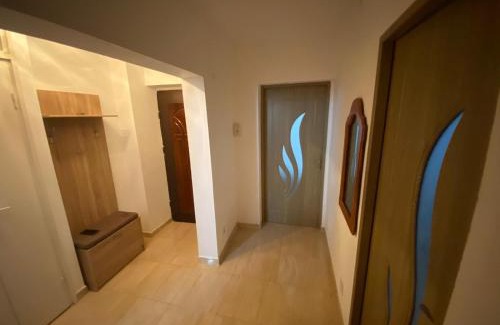Baile Herculane Apartment | Apartament Costescu