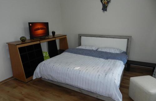 Onesti Apartment | Apartament Cristina cu doua dormitoare & balcon & parcare