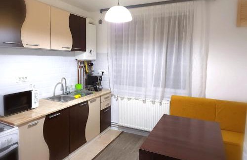 Baia Mare Apartment | Apartament cu 1 camera ultracentral
