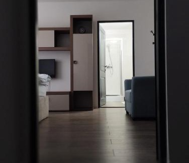 Baia Mare Apartment | Apartament cu 1 camera ultracentral