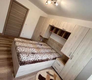 Dorohoi Apartment | Apartament cu o cameră