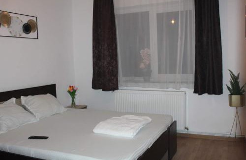 Tirgu Ocna Apartment | Apartament DANIA & PETRU
