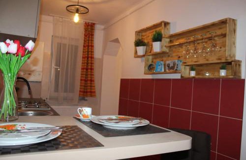 Tirgu Ocna Apartment | Apartament DANIA & PETRU