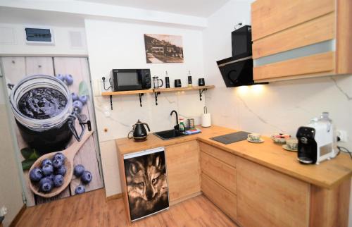 Bierutowice Apartment | Apartament De Luxe Emily Karpacz