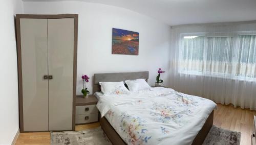 Orsova Apartment | Apartament Denisa