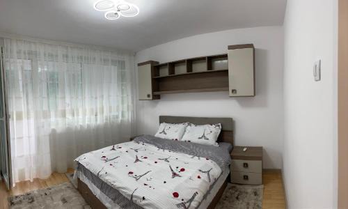 Orsova Apartment | Apartament Denisa