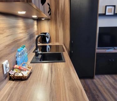 Elblag Apartment | Apartament dwupokojowy w Elblągu
