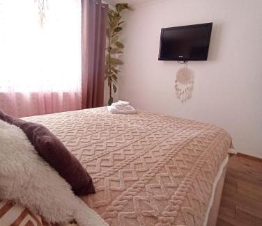 Predeal Apartment | Apartament Eagle