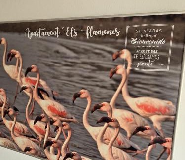 Sant Jaume d'Enveja Apartment | Apartament Els Flamencs