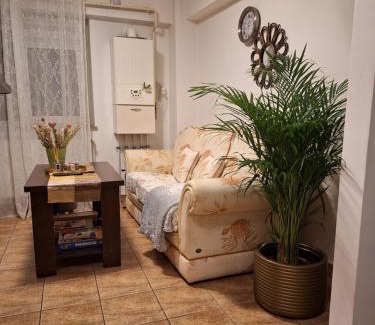 Ramnicu Valcea Apartment | Apartament Florina