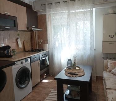 Ramnicu Valcea Apartment | Apartament Florina