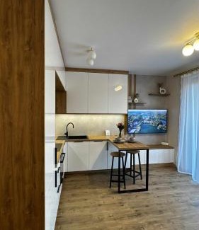 Lagow Apartment | Apartament Forte Studio