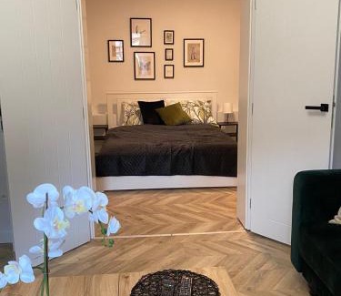 Gryfow Slaski Apartment | Apartament Frezja
