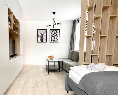 Swieradow-Zdroj Apartment | Apartament Górska