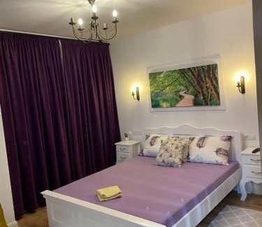 Baia Mare Apartment | Apartament Gabriela 39