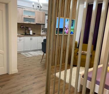 Baia Mare Apartment | Apartament Gabriela 39