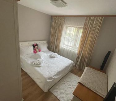 Targoviste Apartment | Apartament Gratziela