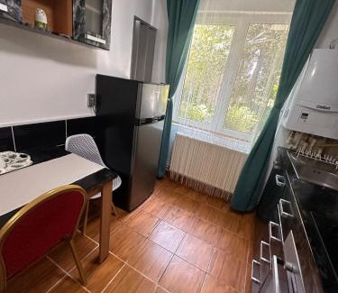 Petrosani Apartment | Apartament Iasmina
