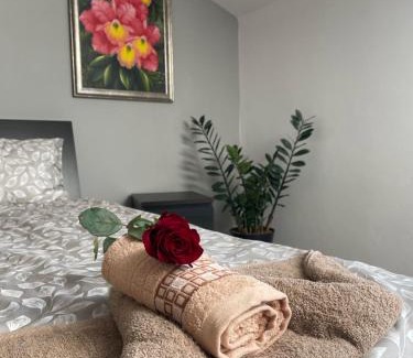 Koscierzyna Apartment | Apartament II w Centrum - Winda - 50 metrów od Starego Rynku