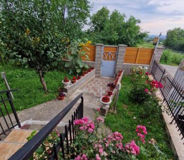 Pascani Apartment | Apartament in vila