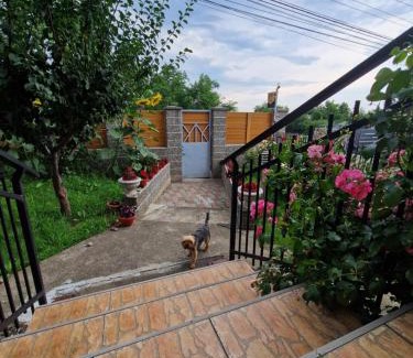 Pascani Apartment | Apartament in vila