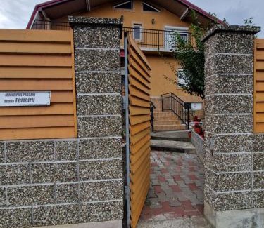 Pascani Apartment | Apartament in vila
