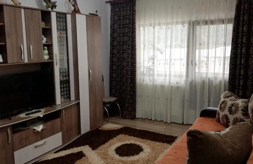 Tirgu Ocna Apartment | Apartament Ioana