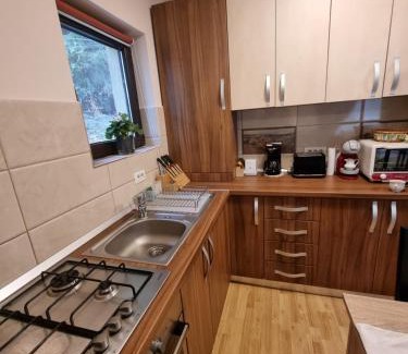 Jibert Apartment | Apartament Kalinderu K4 Busteni
