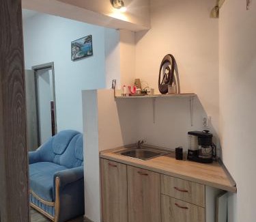 Baia Mare Apartment | Apartament Karina