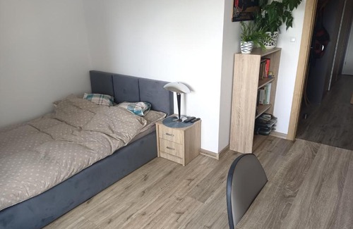 Ostrow Wielkopolski Apartment | Apartament Klasztorna 2A