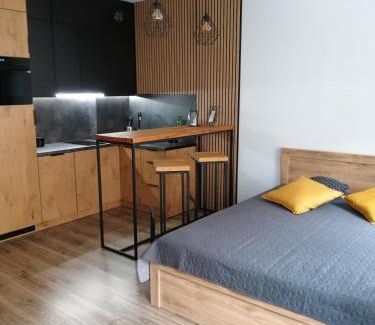 Tczew Apartment | Apartament Kozigród