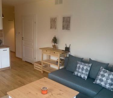 Wisla Apartment | Apartament Kuba na Spokojnej