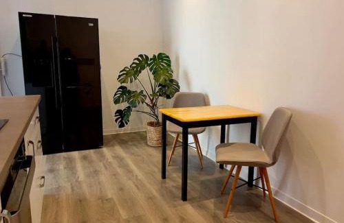 Orastie Apartment | Apartament la casă în Centrul Orăștiei