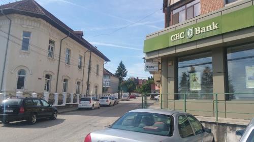 Calimanesti Apartment | Apartament Lavinia