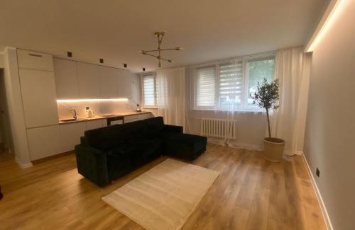 Glogow Apartment | Apartament na Śniadeckich