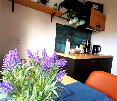 Jelenia Gora Apartment | APARTAMENT NA WZGÓRZU