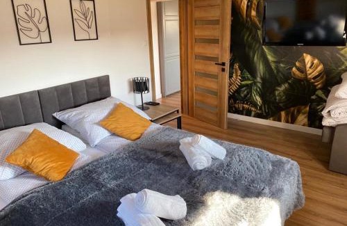 Szczawnik Apartment | Apartament nad Szczawniczkiem