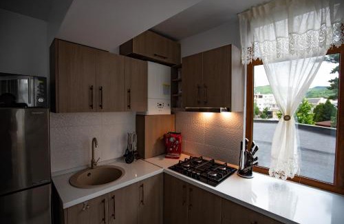 Tirgu Ocna Apartment | Apartament Natalia