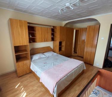 Zarnesti Apartment | Apartament Natalie&Helen