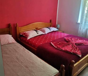 Slanic-Moldova Apartment | Apartament Nemira