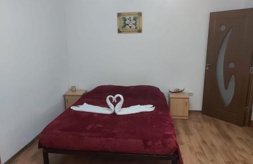 Slanic-Moldova Apartment | Apartament Nemira