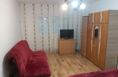 Slanic-Moldova Apartment | Apartament Nemira