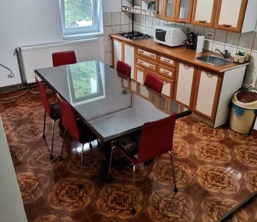 Slanic-Moldova Apartment | Apartament Nemira
