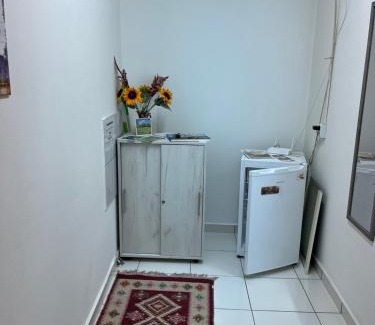 Emanoil Gojdu Apartment | Apartament Octav