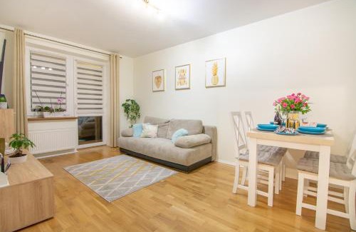 Ustrzyki Dolne Apartment | Apartament Optima